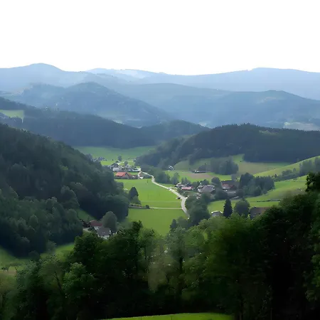 Ruhige Schwarzwald